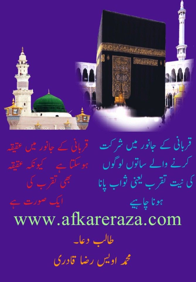 قربانی کے مسائل 